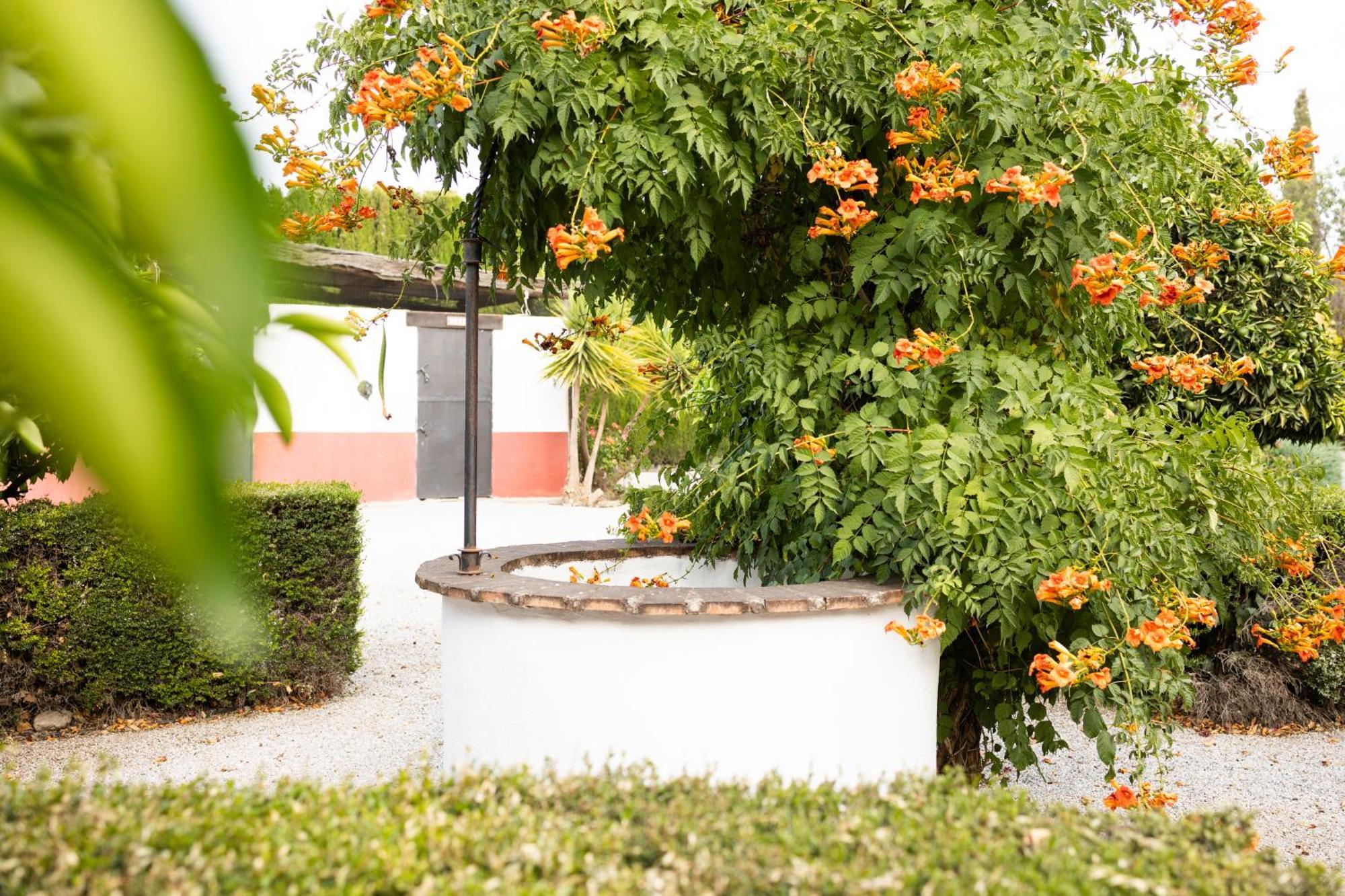 La Cuadra, Finca A Los Pies De Sierra Nevada, A 10 Minutos Del Centro, Piscina, Jardin, Barbacoa La Zubia Kültér fotó