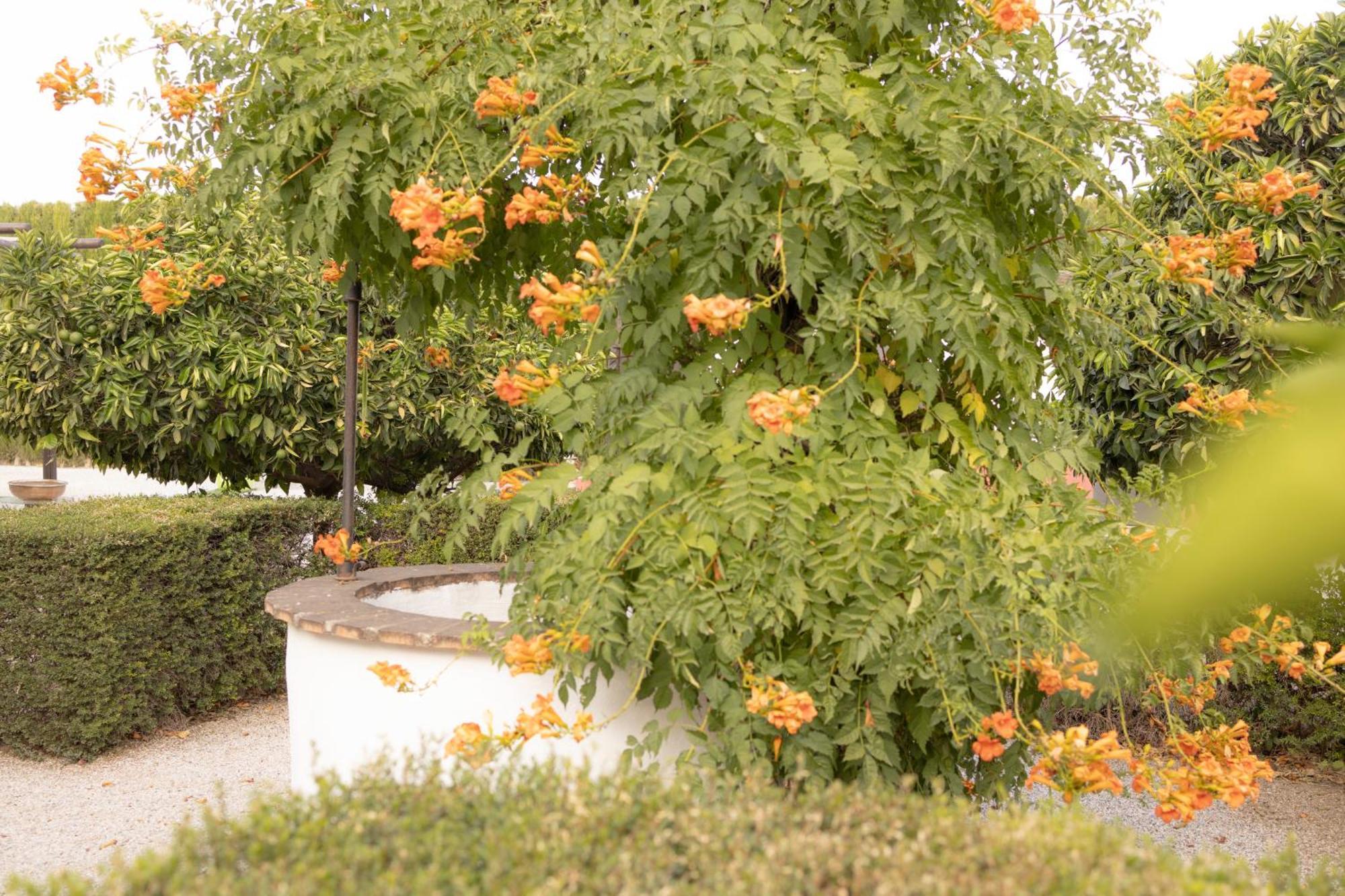 La Cuadra, Finca A Los Pies De Sierra Nevada, A 10 Minutos Del Centro, Piscina, Jardin, Barbacoa La Zubia Kültér fotó