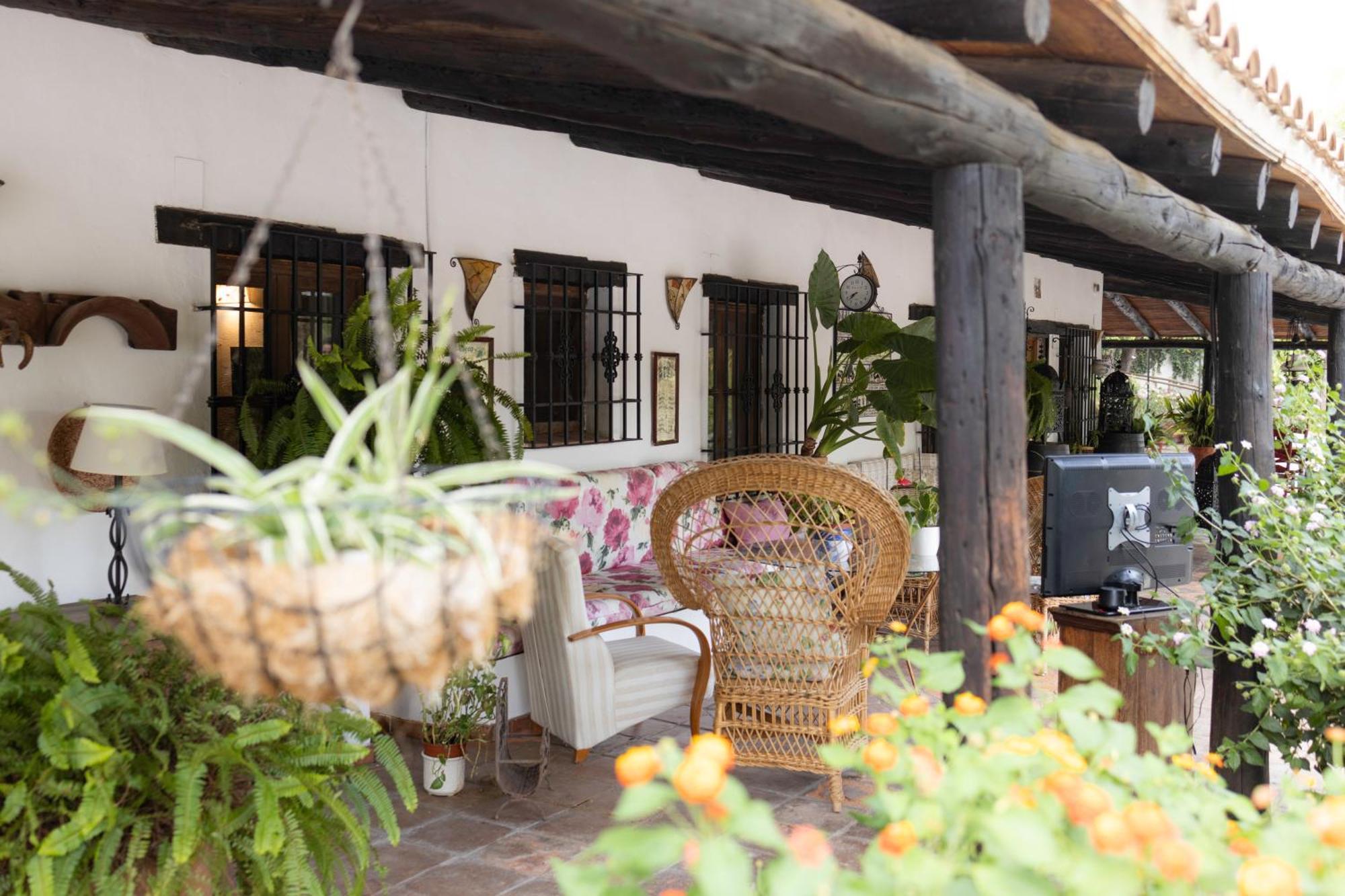 La Cuadra, Finca A Los Pies De Sierra Nevada, A 10 Minutos Del Centro, Piscina, Jardin, Barbacoa La Zubia Kültér fotó